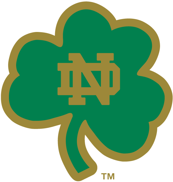 Notre Dame Fighting Irish 1994-Pres Alternate Logo t shirts iron on transfers v15...